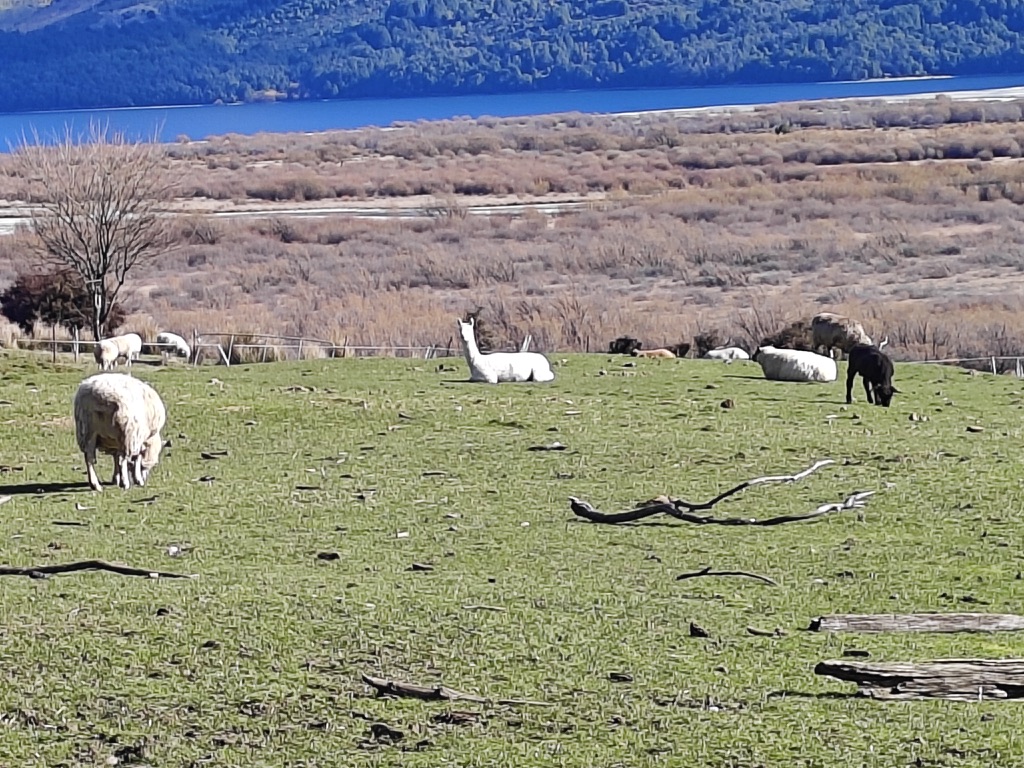Image 10